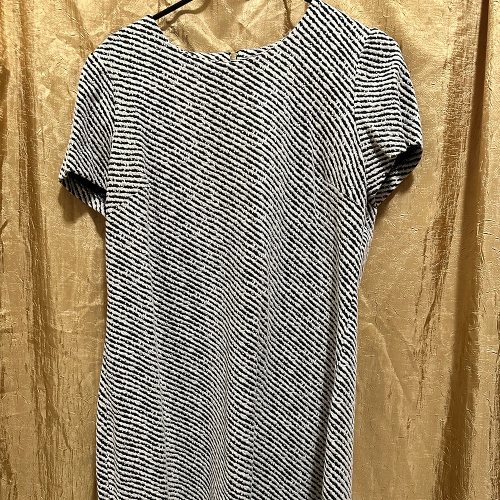 Calvin Klein sz 14 Black & White Casual Sheath Dress